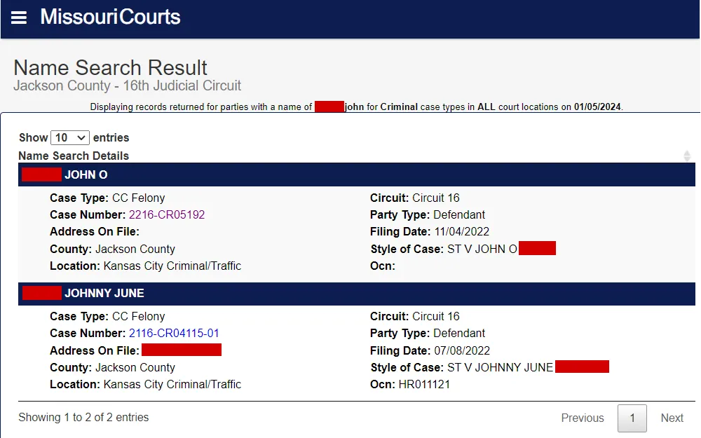 Screenshot of the search result displaying the case details, including offender's name, address, case type and number, party type, and filing date, among others.